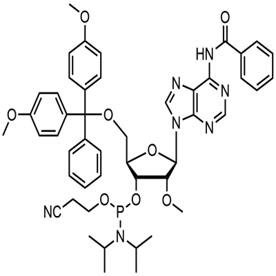 2'-O-Methyl-rA(N-Bz) ဖော့စဖောရမစ်