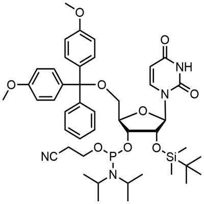 5'-O-(4,4-Dimethoxytrityl)-2'-O-[(tert-butyl)dimethylsilyl]uridine-3'-(2-cyanoethyl-N၊N-diisopropyl)phosphoramidite