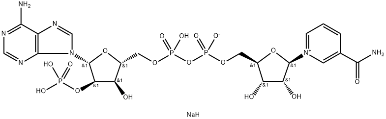 BETA-NICOTINAMIDE ADENINE DINUCLEOTIDE ဖော့စဖိတ် ဆိုဒီယမ်ဆား
