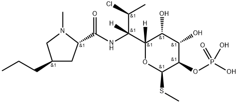Clindamycin ဖော့စဖိတ်