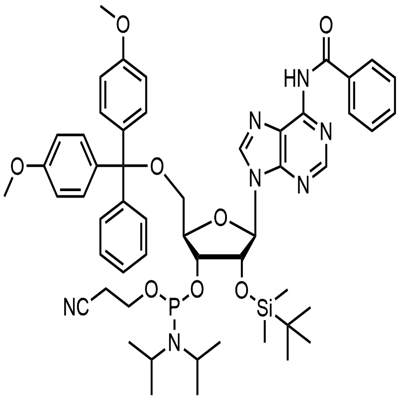 N-Benzoyl-5'-O-(4,4-Dimethoxytrityl)-2'-O-[(tert-butyl)dimethylsilyl]adenosine-3'-(2-cyanoethyl-N၊N-diisopropyl)phosphoramidite