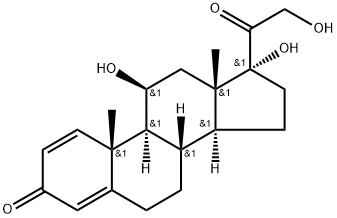 Prednisolone ဆေး