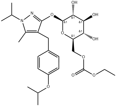 Remogliflozin သည် etabonate ဖြစ်သည်။