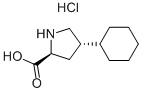 trans-4-Cyclohexyl-L-proline ဟိုက်ဒရိုကလိုရိုက်