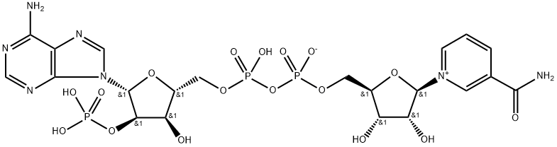 Triphosphopyridine nucleotide ၊